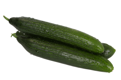 Gurke, Gärtnerei Kiemle, Bietigheim, Stück