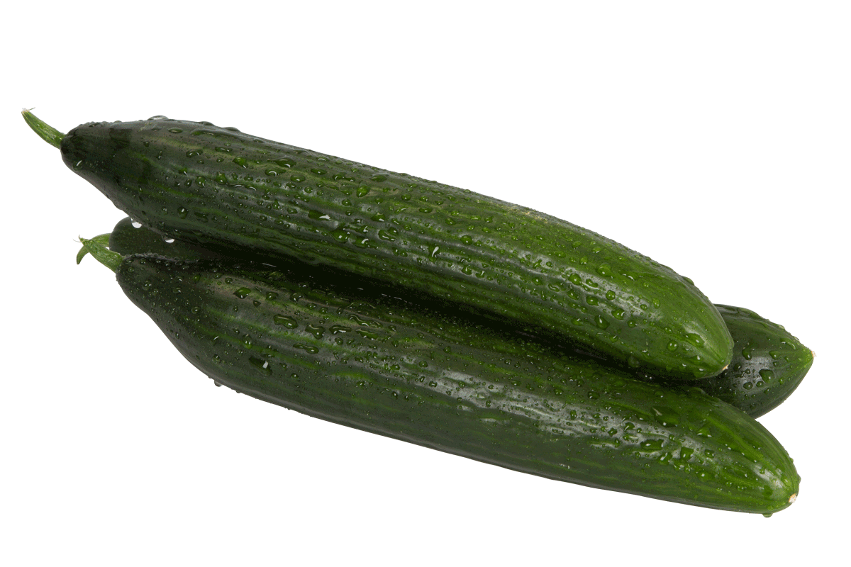 Gurke, Gärtnerei Kiemle, Bietigheim, Stück