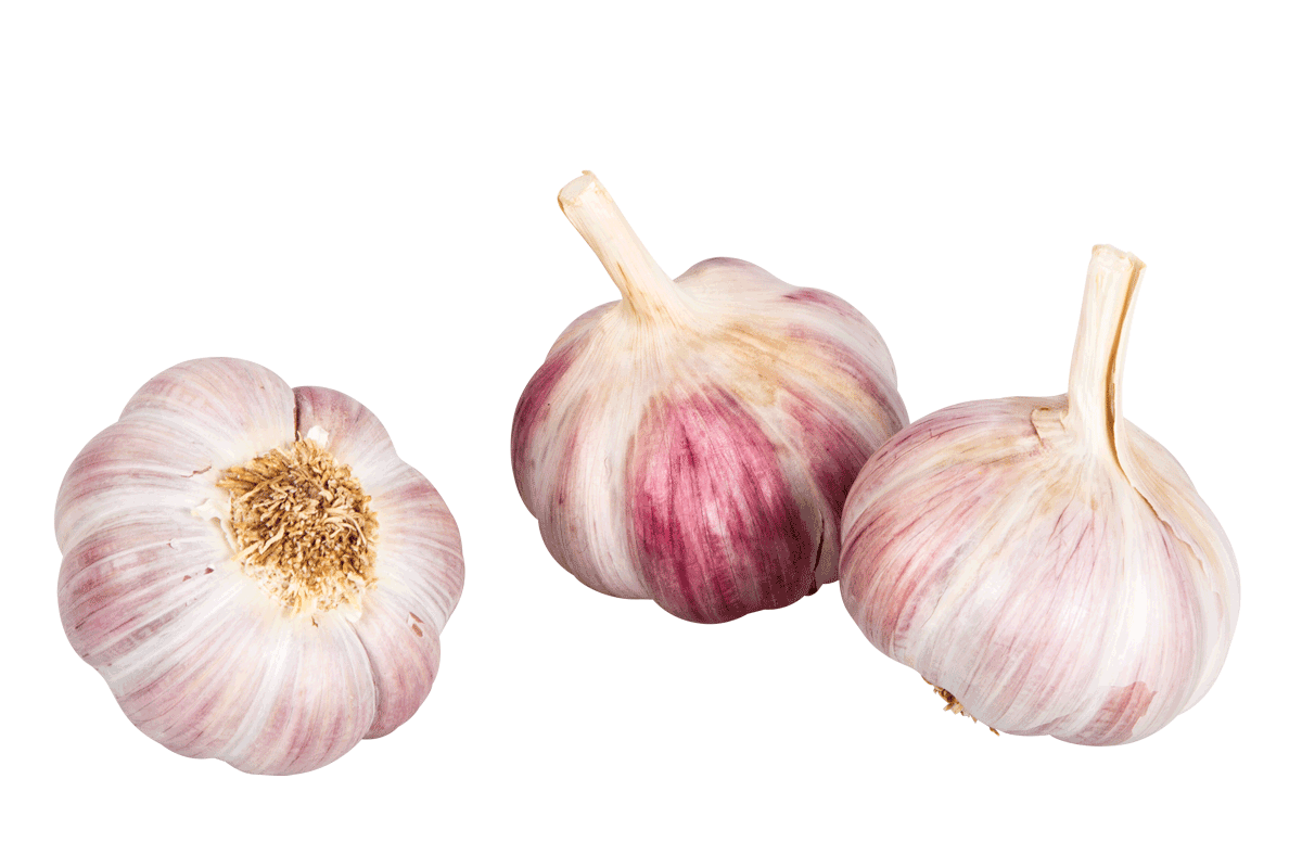 Frischer Knoblauch, Frankreich, Stück