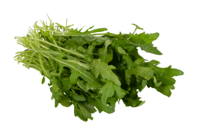 Rucola, Gärtnerei Kiemle, Bietigheim, Bund