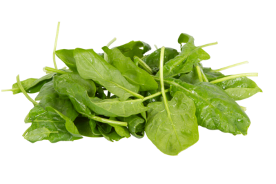Frischer Spinat, Hofmarkt Schmid, Waiblingen-Beinstein, 500g