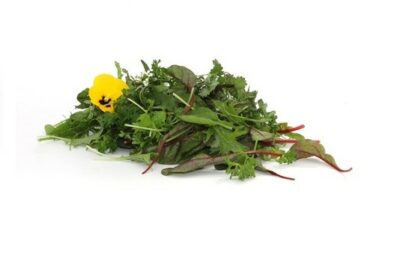 Wildkräutersalat, Gärtnerei Kiemle, Bietigheim, 100 g Schale