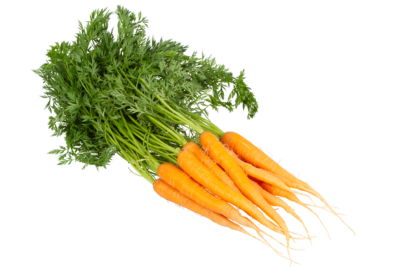 Karotten ungespritzt, Daniel Schmid, WN-Beinstein, Remstal, 1 kg