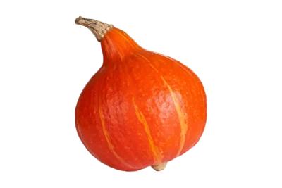 Hokkaido Kürbis, Hofmarkt Schmid, Waiblingen-Beinstein