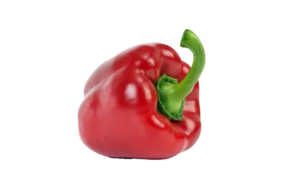 Paprika rot, Gärtnerei Kiemle, Bietigheim, Stück